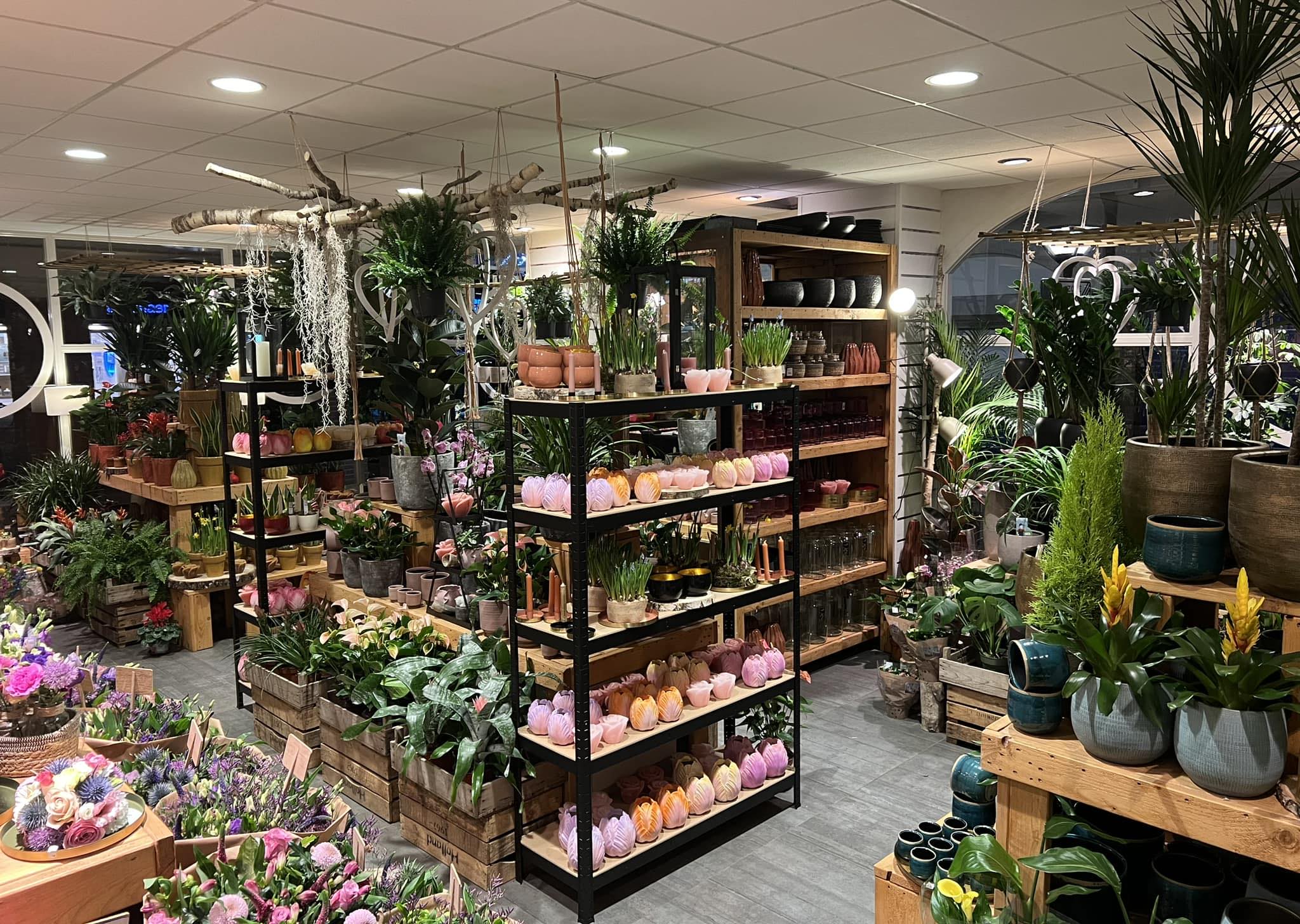 Contact – Wim Schaap Bloemen en Planten B.V.